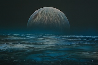 Honeymoon Stories: Exploring Europe and Future Parenthood 241