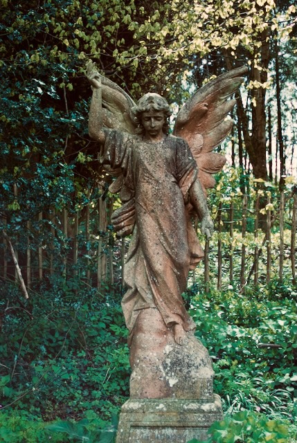 The Smiling Angel 37