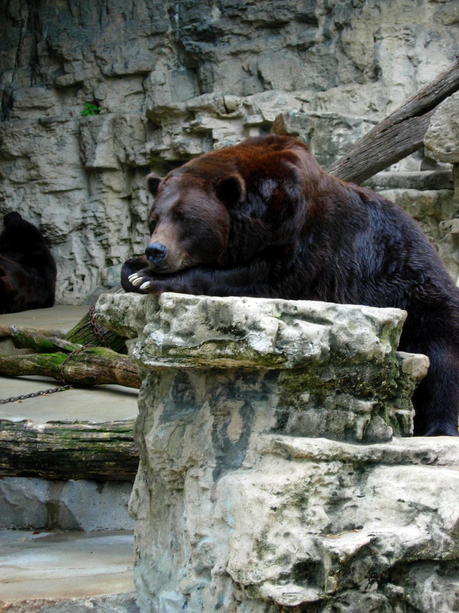 Boredom, Ineffable Truth 3