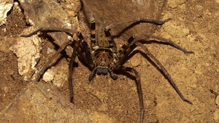 From Darkness to Light: A Warrior’s Last Stand 170